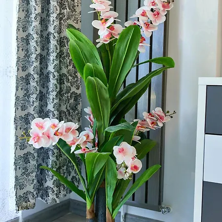 Aparthotel Miramare By Alz