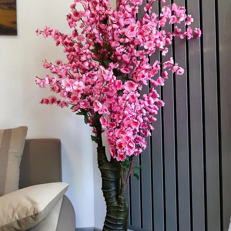 Miramare By Alz 3* Năvodari